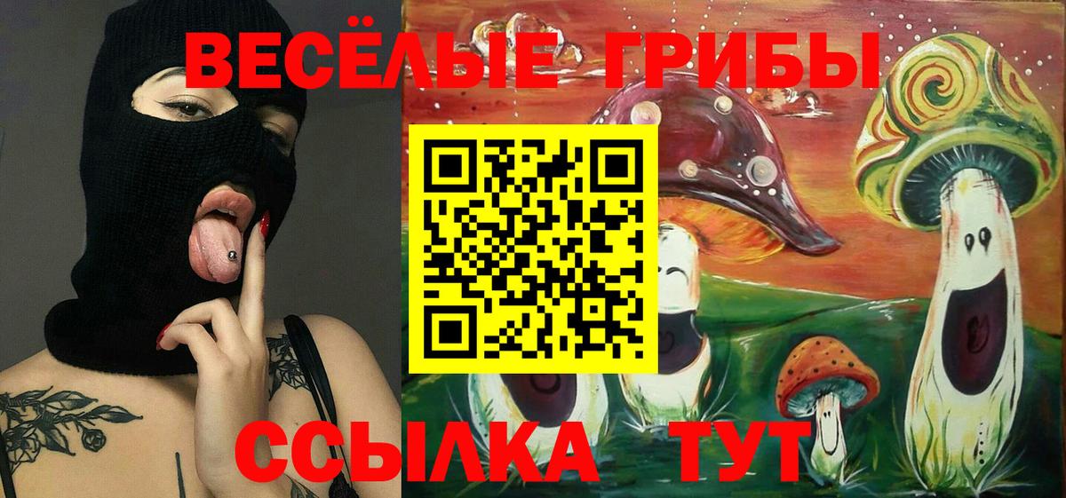 Галлюциногенные грибы Psilocybe Северобайкальск